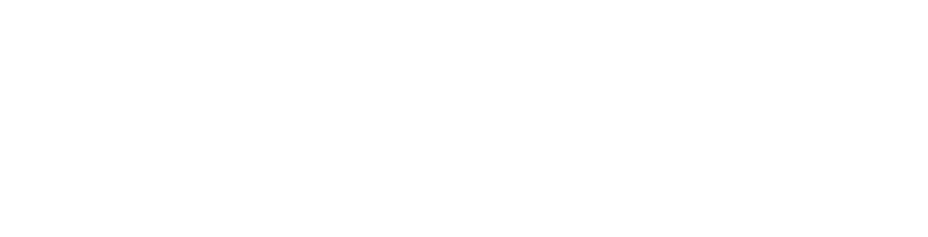 Logo blanc de Protéger votre Entreprise