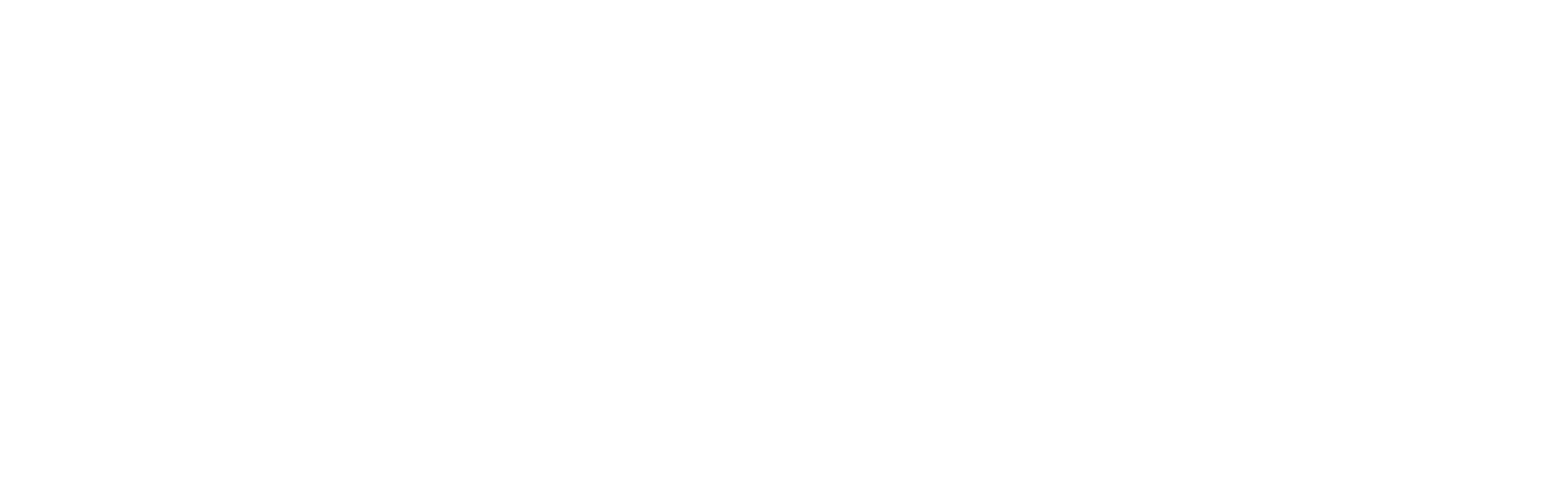 Logo blanc de Protéger votre Entreprise